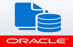 Oracle数据库管理工具有哪些?-北京MK体育·(国际)官方网站公司