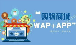 手机商城appMK体育·(国际)官方网站流程-北京MK体育·(国际)官方网站外包公司