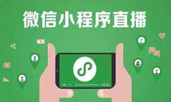微信小程序开发、直播小程序开发-MK体育·(国际)官方网站MK体育·(国际)官方网站公司 