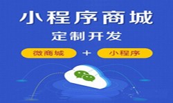 微信小程序开发、商城小程序开发功能-MK体育·(国际)官方网站MK体育·(国际)官方网站
